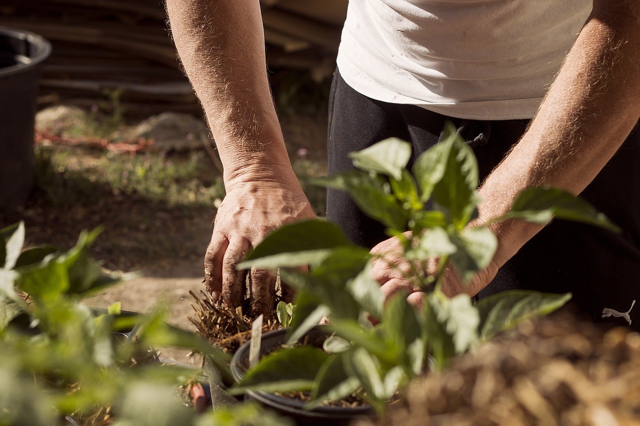 Circular Economy 101: Putting circular economy into action