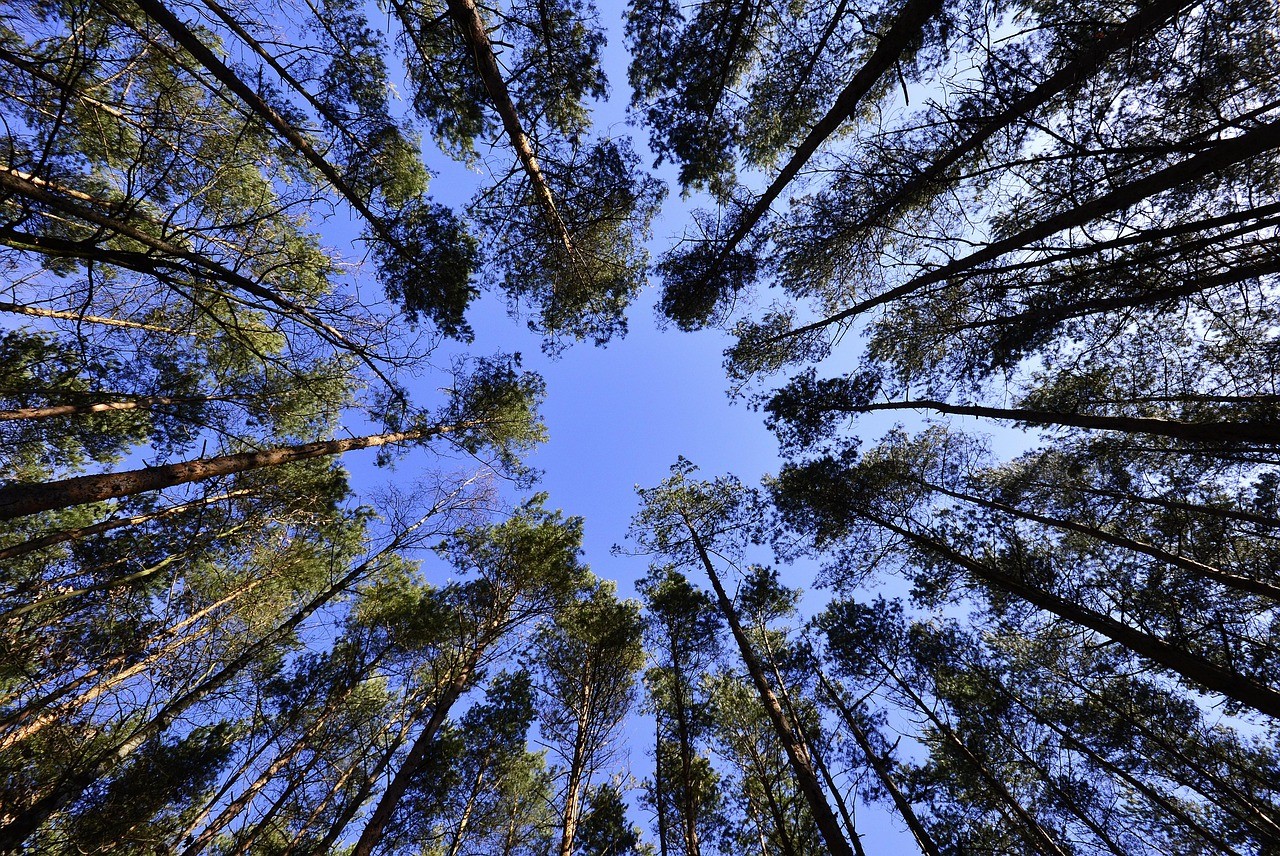 Circular Economy 101: What is a circular economy